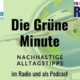 grüne minute flugreisen kompensieren co2