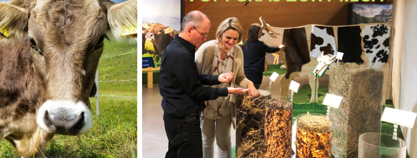 WECHSELAUSSTELLUNG VOM GRAS ZUR MILCH WEB