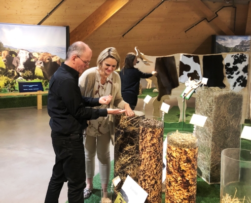 Wechselausstellung VOM GRAS ZUR MILCH in der Umwelt Arena, bis 29.3.2020