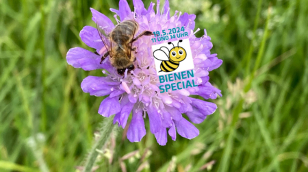 Bienen-Special