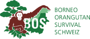 BOS Schweiz Logo