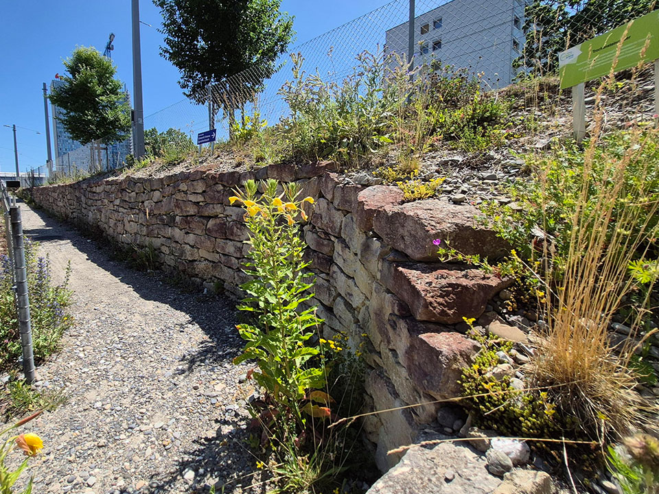Trockensteinmauer